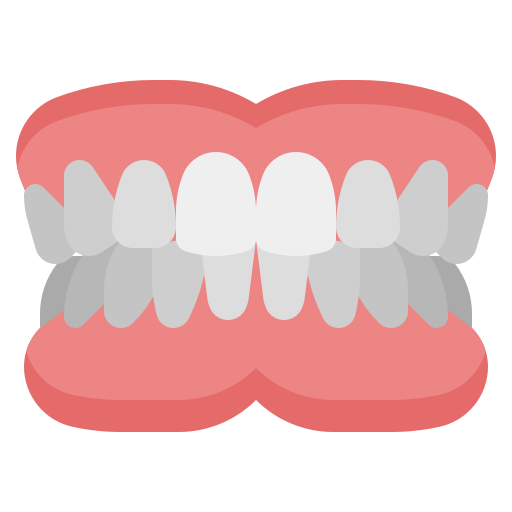 denture 5499040